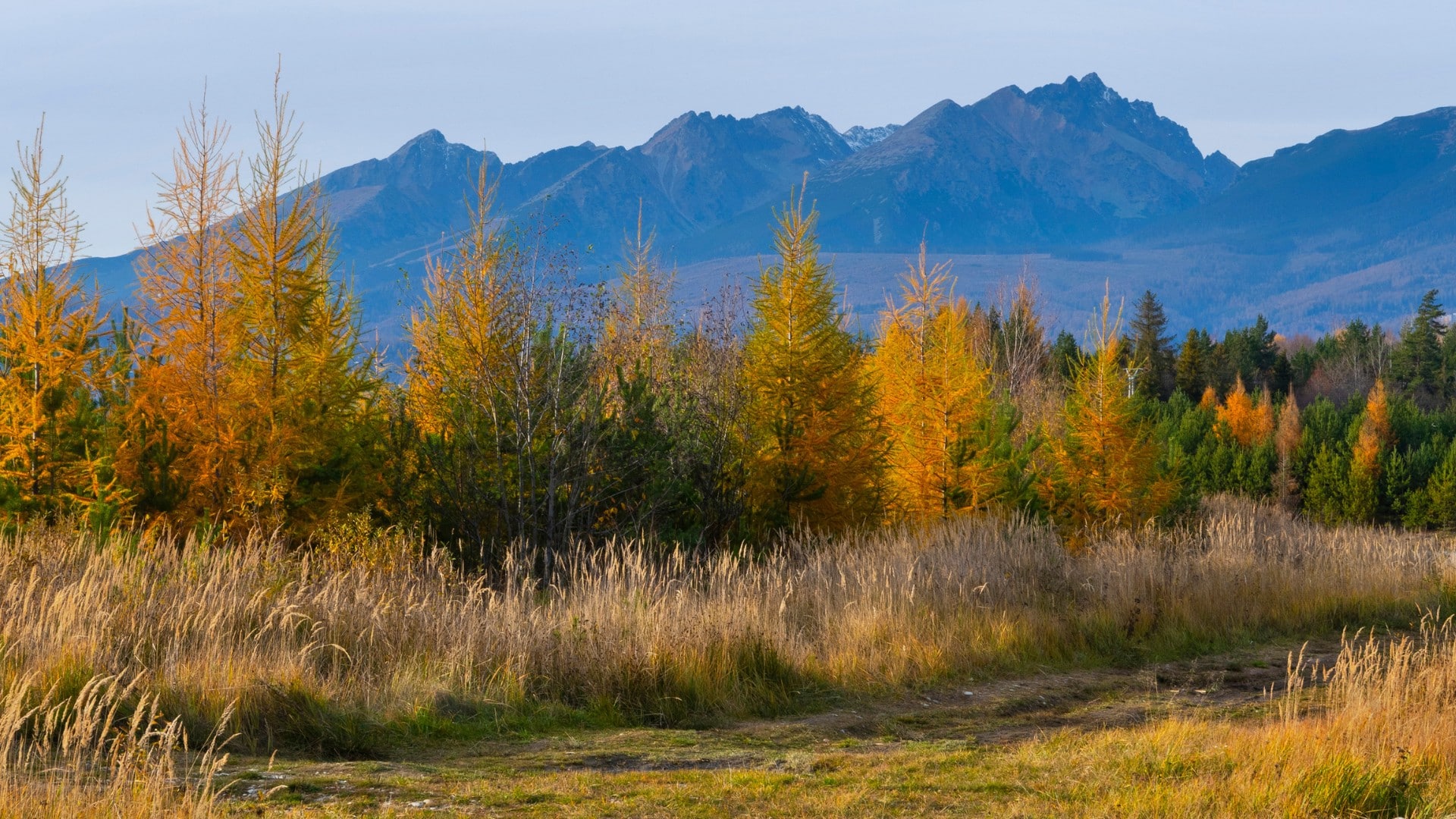 Jeseň v podhorí Vysokých Tatier pri svitskom pstruhovom jazere - Batizovskom štrkovisku v Batizovciach