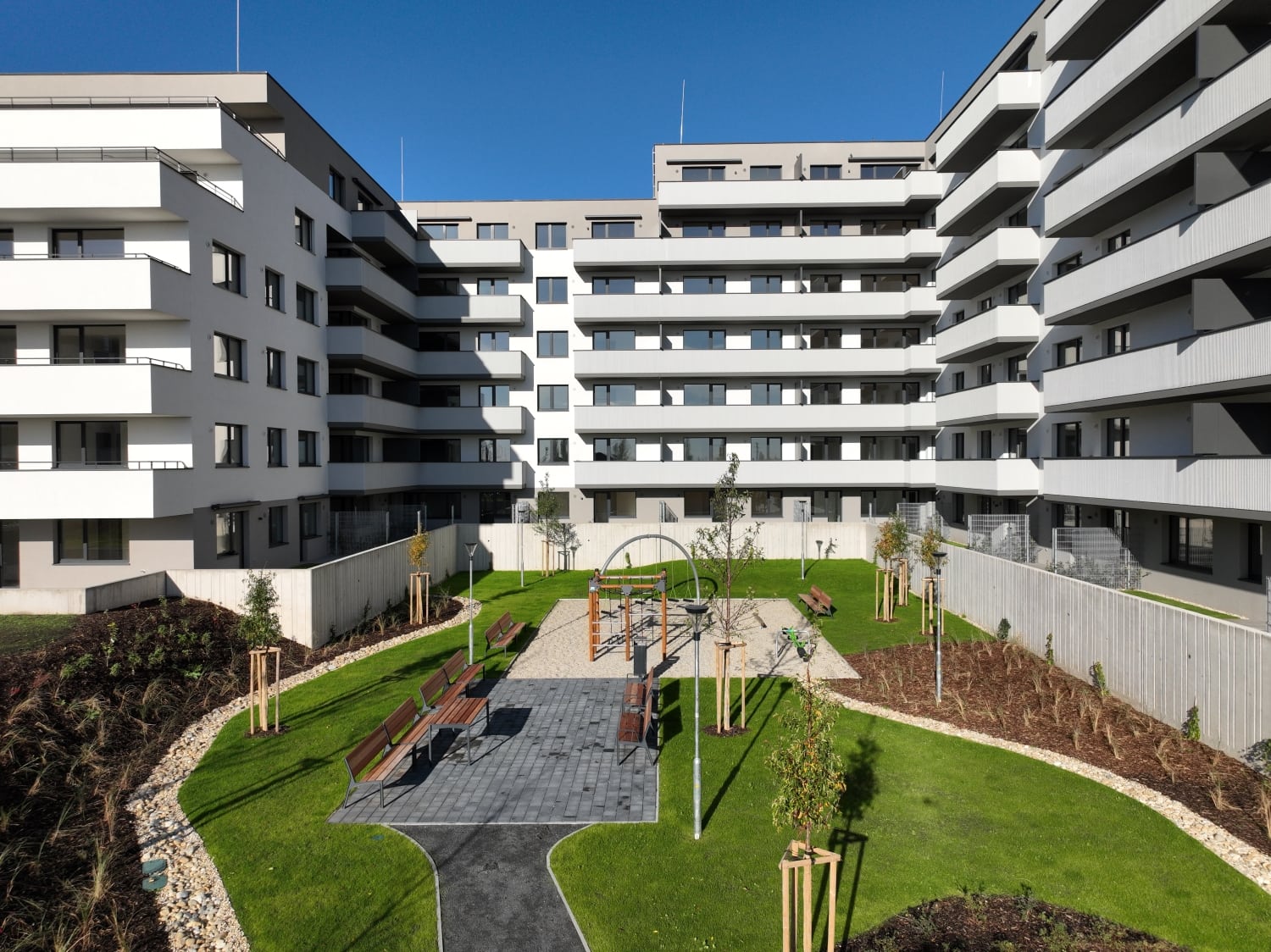 Arboria_DJI_0196_small