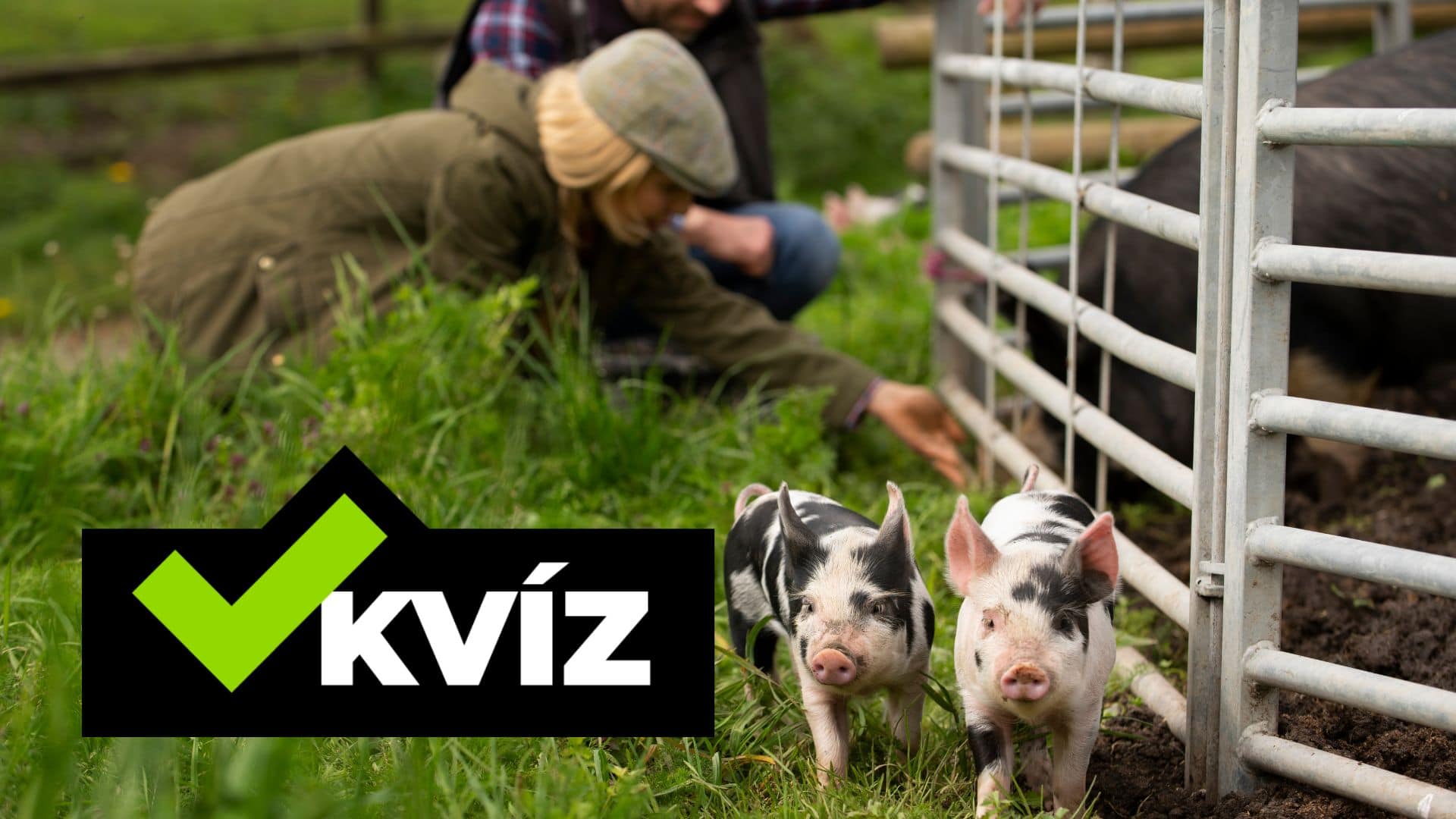 Muž so ženou na farme a prasiatka.