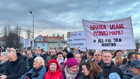 Slovnesko, protivládny protest