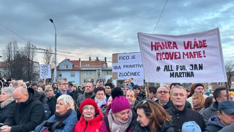 Slovnesko, protivládny protest