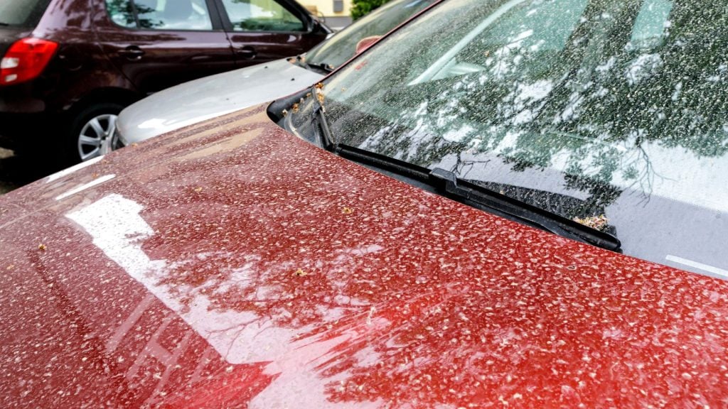 sahara prach saharský piesok slovensko