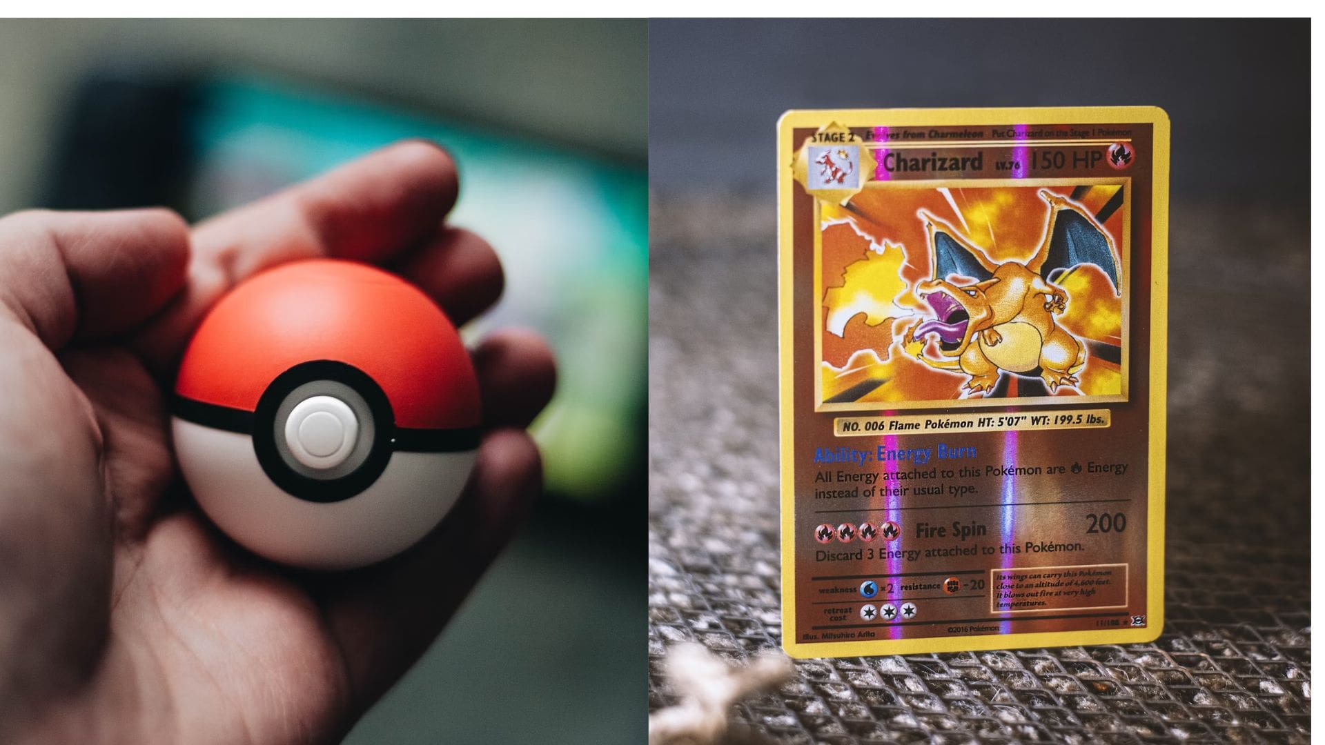 pokemon ball charizard