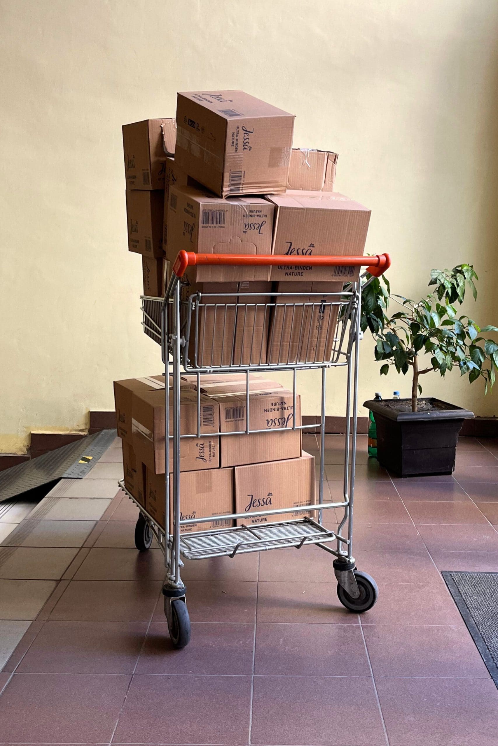 2000×3000 ABP men foto 1