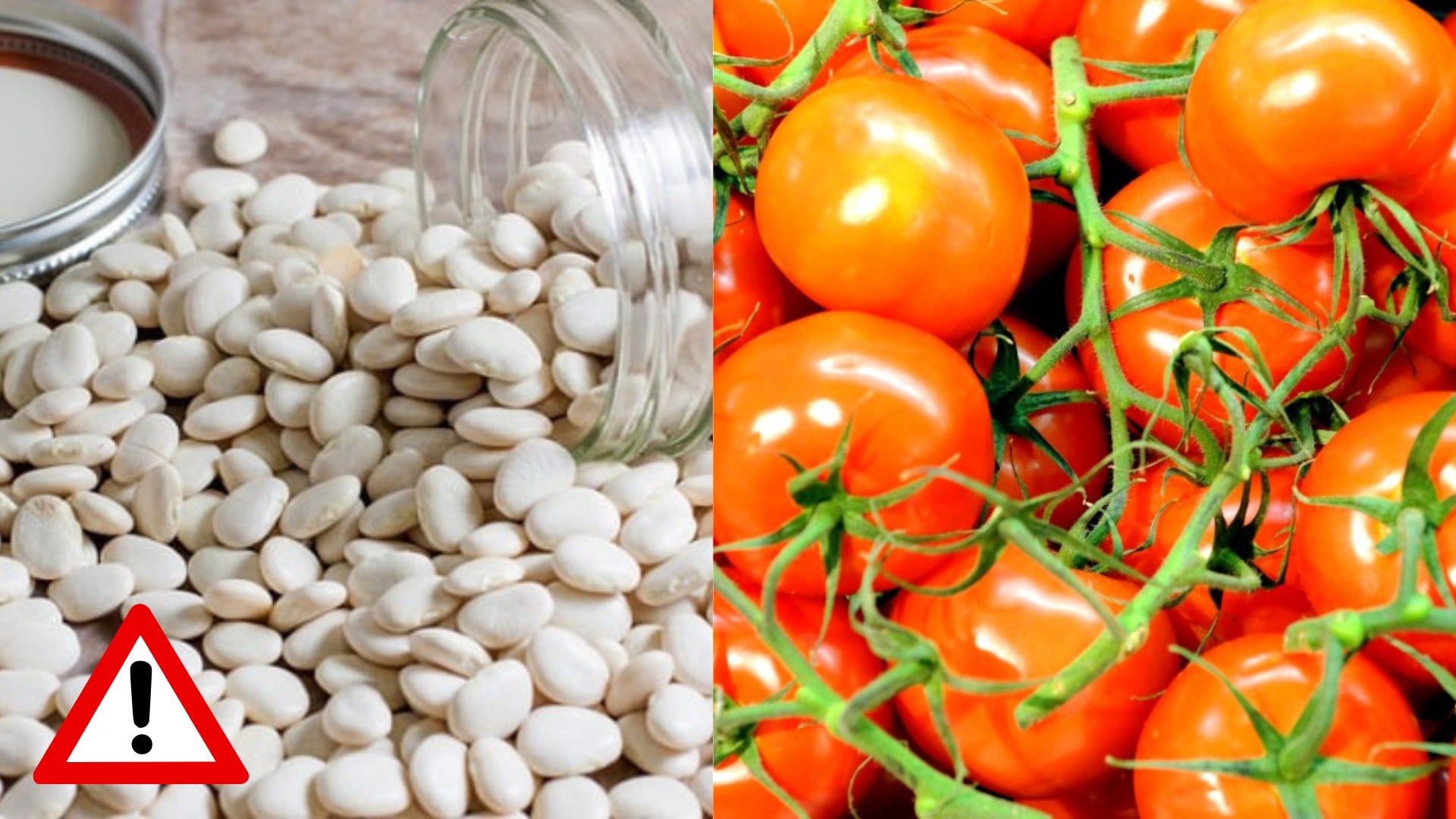 nebezpečné potraviny