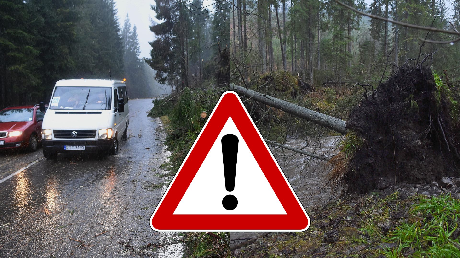 Autá v daždi na ceste a vylomený strom.