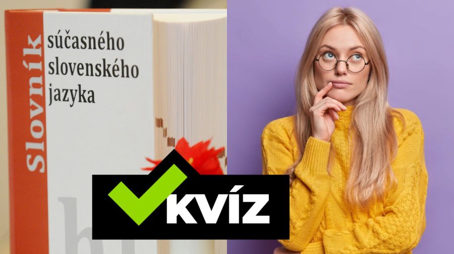 Slovník súčasného slovenského jazyka a žena so zamysleným výrazom.