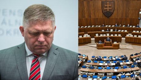 Róbert Fico, parlament
