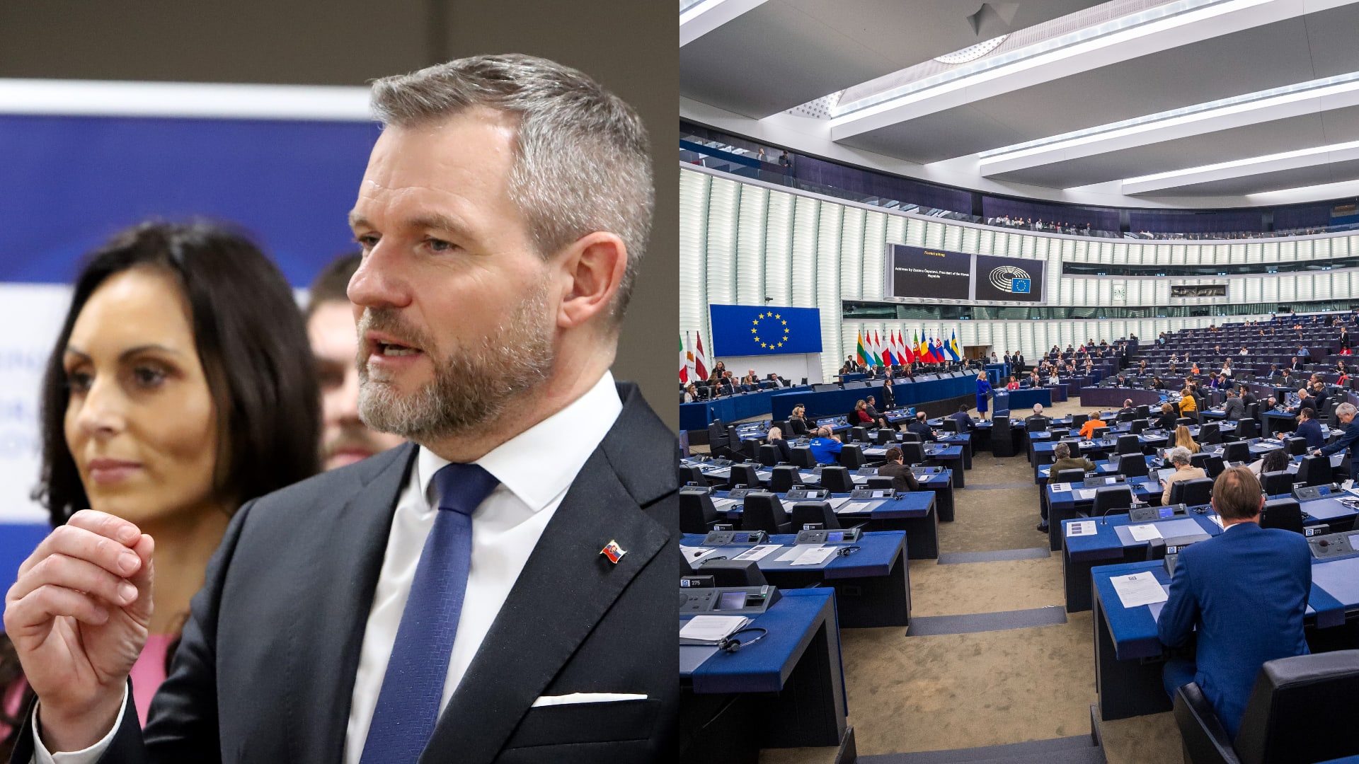 HLAS kandidatka eurovoľby