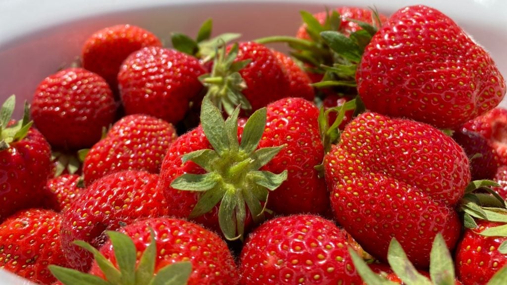 jahody, ovocie, jedlo