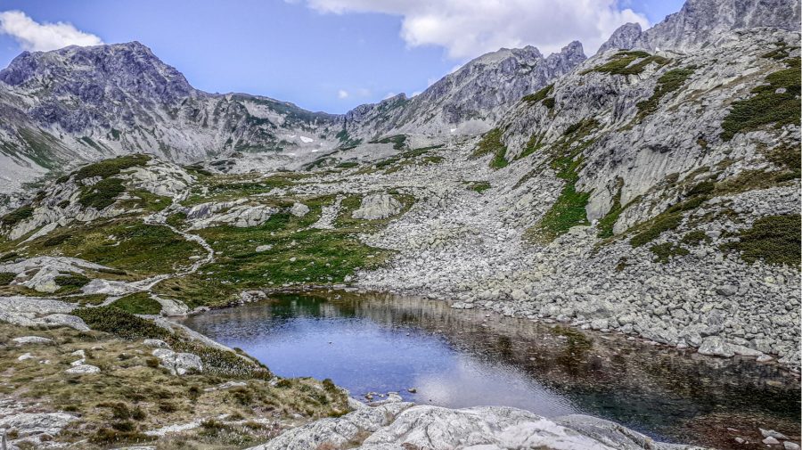 Veľká Studená dolina, Vysoké Tatry