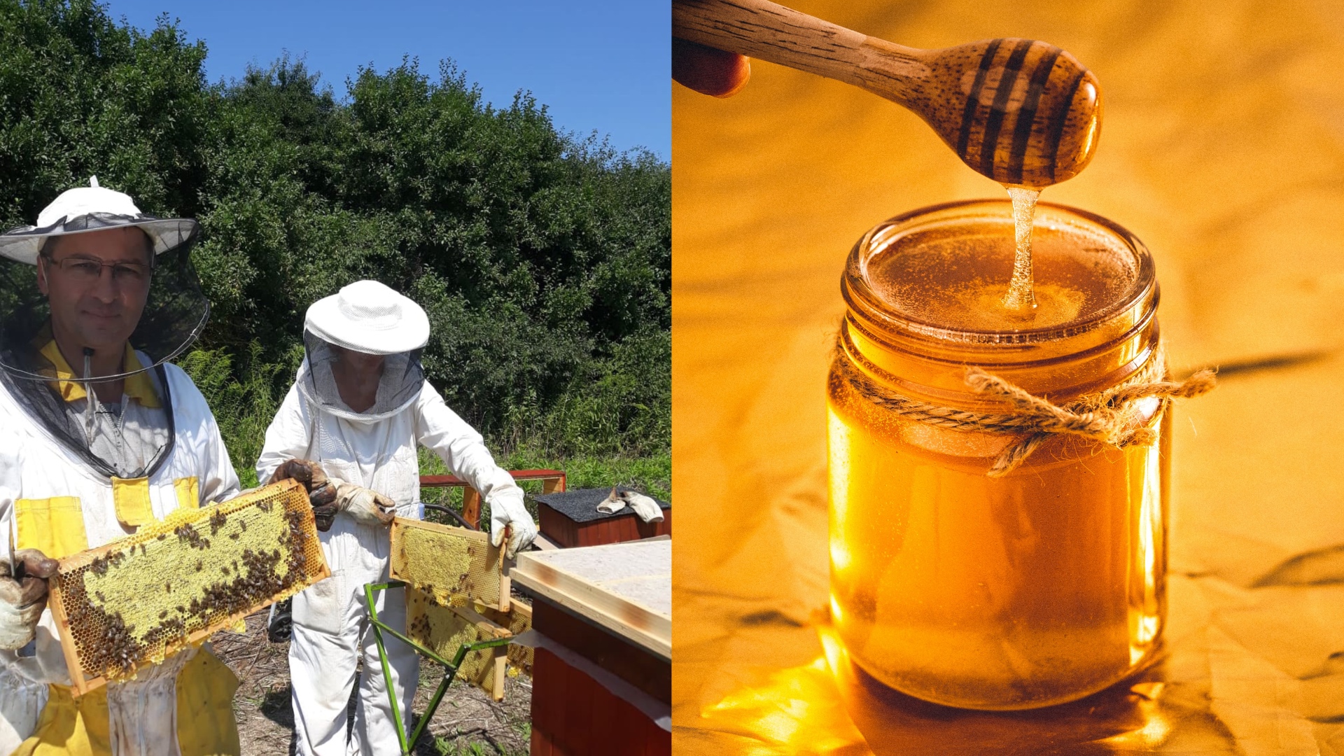 Tibor Vargapál, med