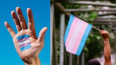 Transrodová vlajka