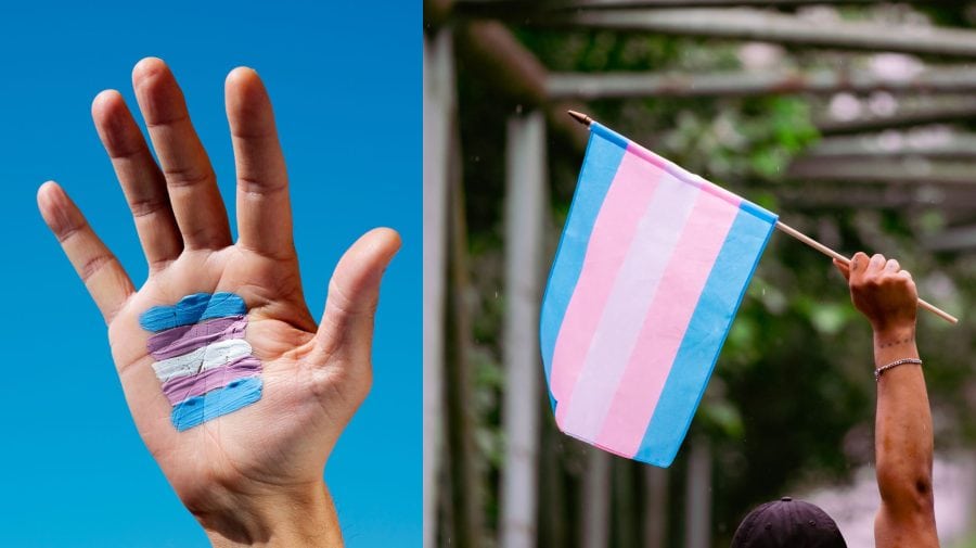 Transrodová vlajka