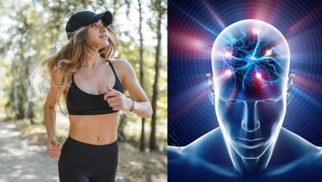 Vedci zistili: Dobrá