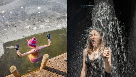 Proteíny „studeného šoku“