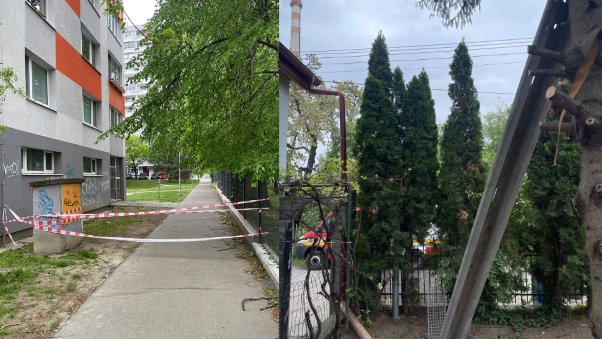 Na snímke popadané stromy v Petržalke