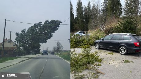 Strom padá na cestu a auto stojí pred padnutým stromom na ceste.