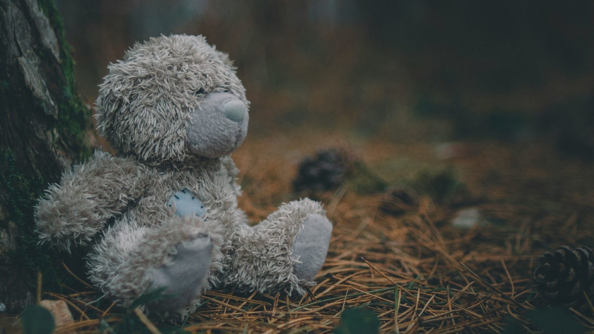 útok v Drážďanoch