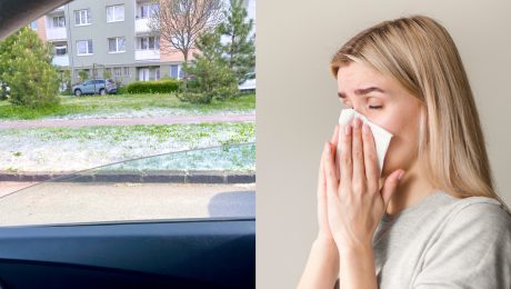 Počet alergikov na Slovensku každým rokom stúpa