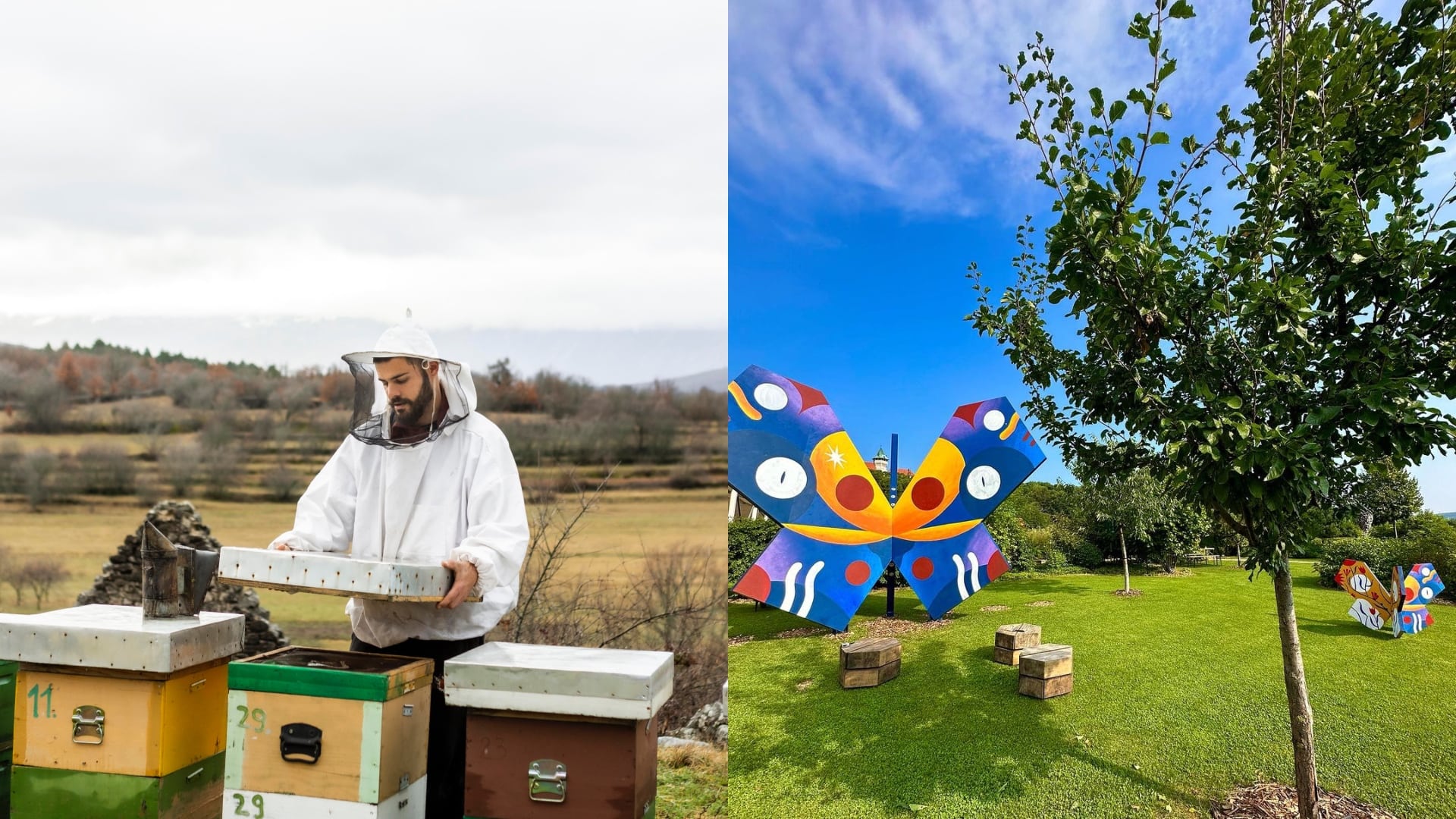 včelár, areál Včelovina