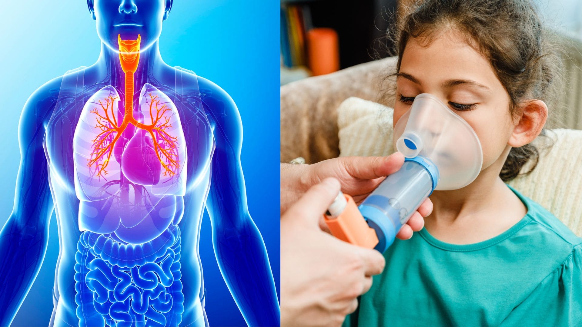 Respiračné ochorenia