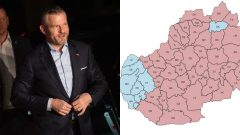 Prezidentské voľby 2024, Peter Pellegrini a výsledky v okresoch