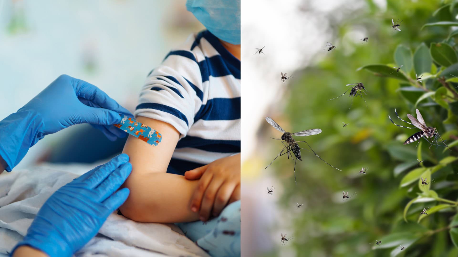 Ak cestuješ do zahraničia, nepodceňuj očkovanie. V týchto krajinách ich budeš pred rozšírenými infekčnými chorobami potrebovať