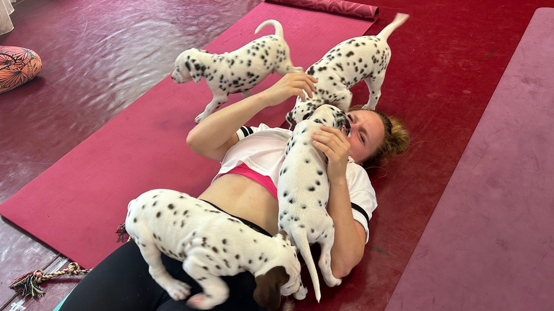 joga so šteniatkami