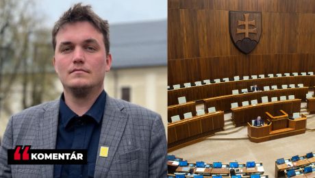 Na snímke riaditeľ Amnesty International Slovensko Rado Sloboda a parlament.