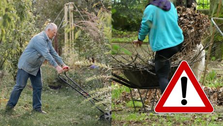 Muž s kosačkou na záhrade a upratovanie konárov.