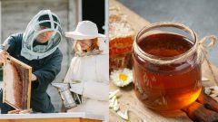 Žena s mužom pracujú na výrobe medu a med.