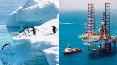 ťažba ropy na antarktíde
