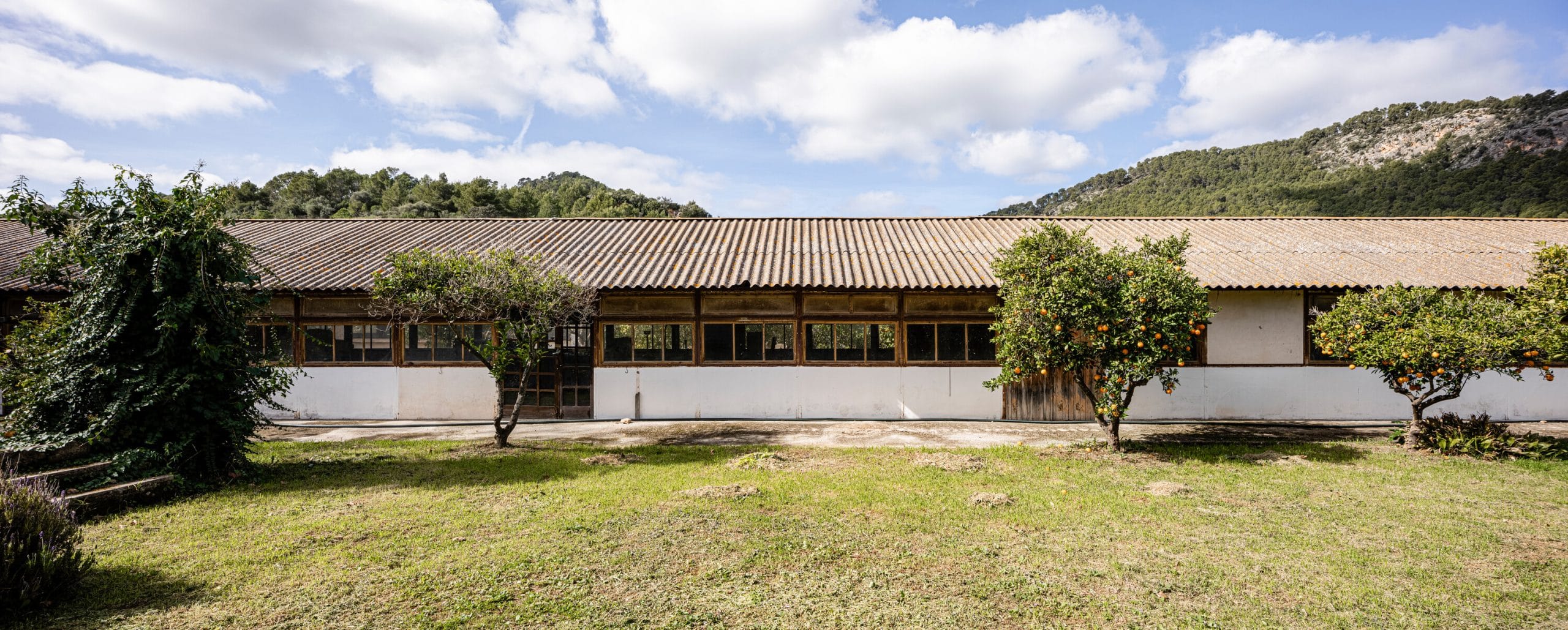 BEEF architekti, Tomeu Canyellas