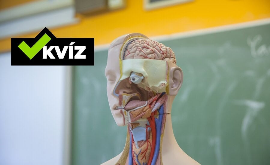 kvíz o ľudskom tele