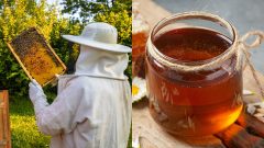 Včelár pri práci a med v nádobe.