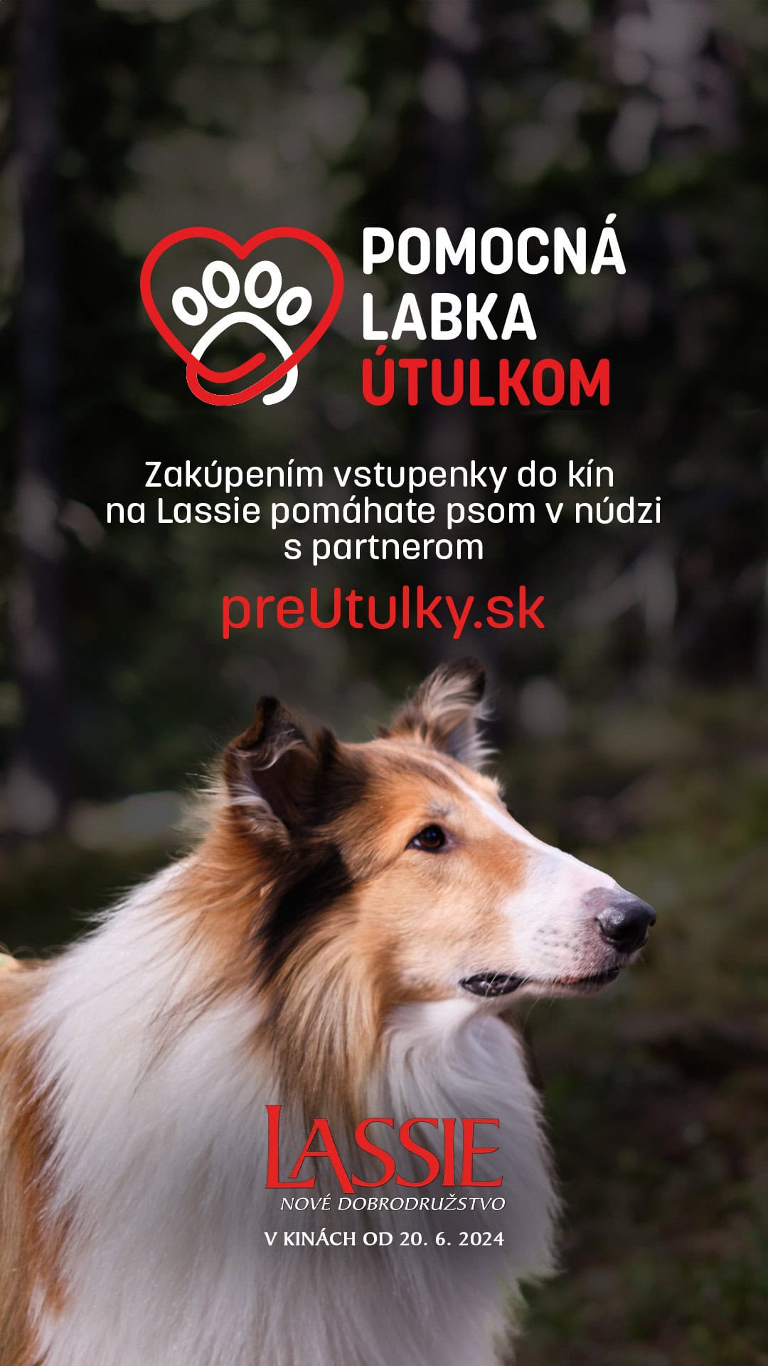 Pomocná labka2