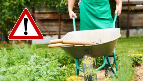 Muž s fúrikom na záhrade.