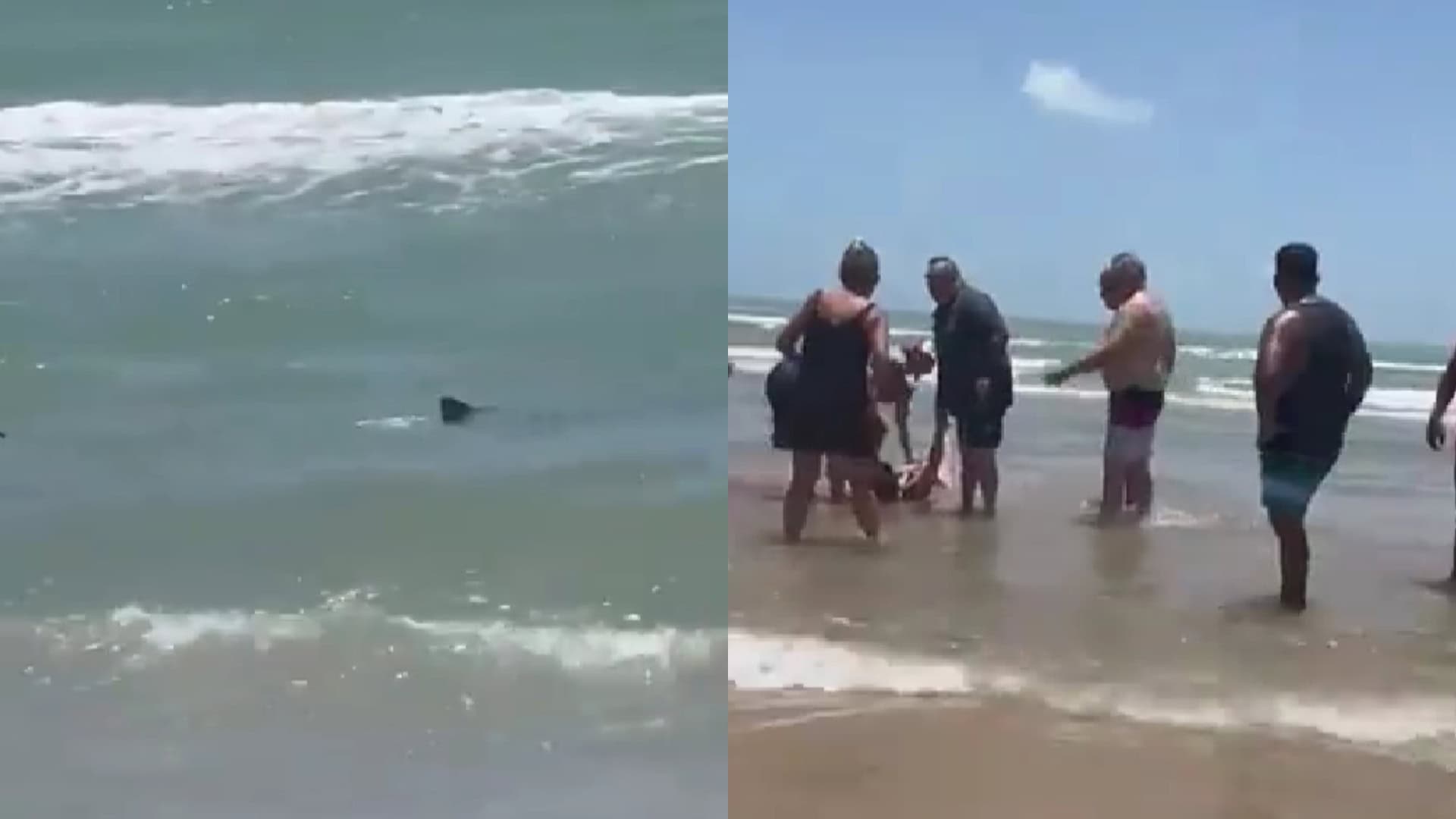 útok žraloka texas