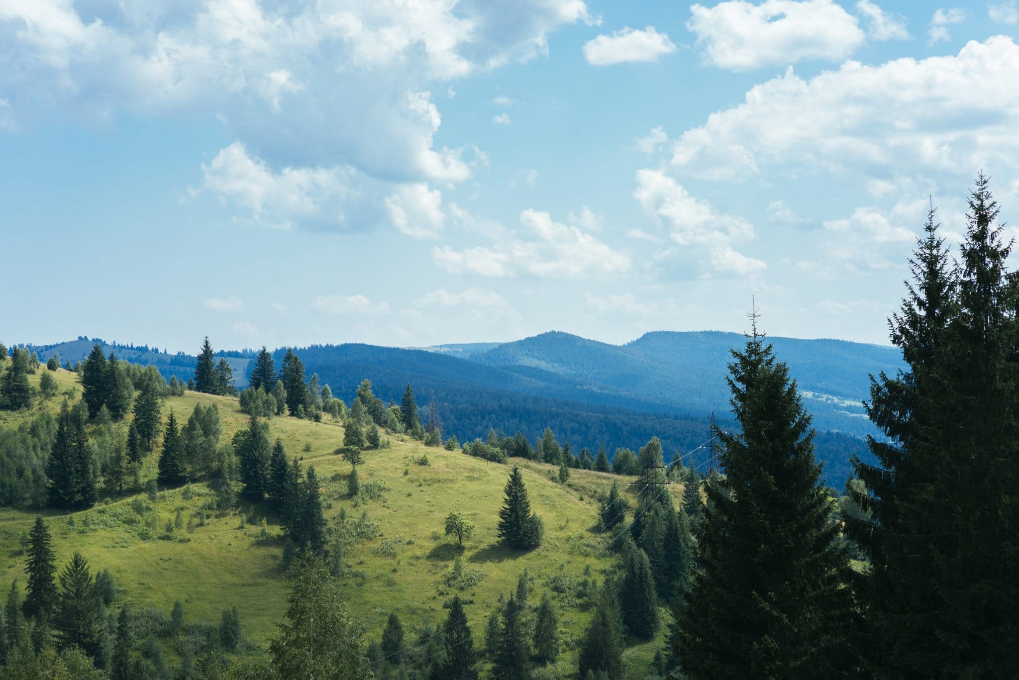 green-trees-mountain
