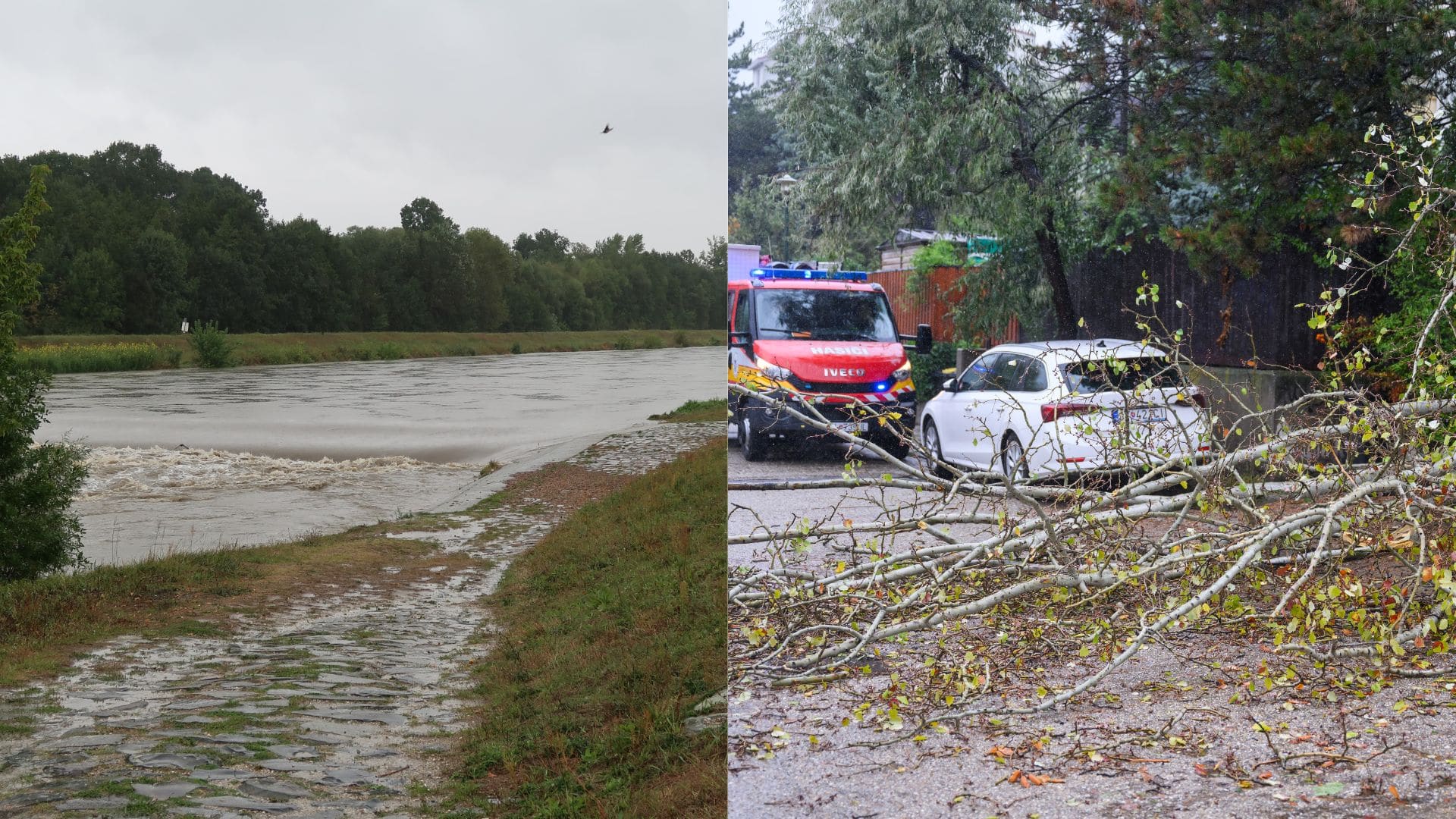 Na snímke vyliata rieka a popadané stromy v Bratislave.