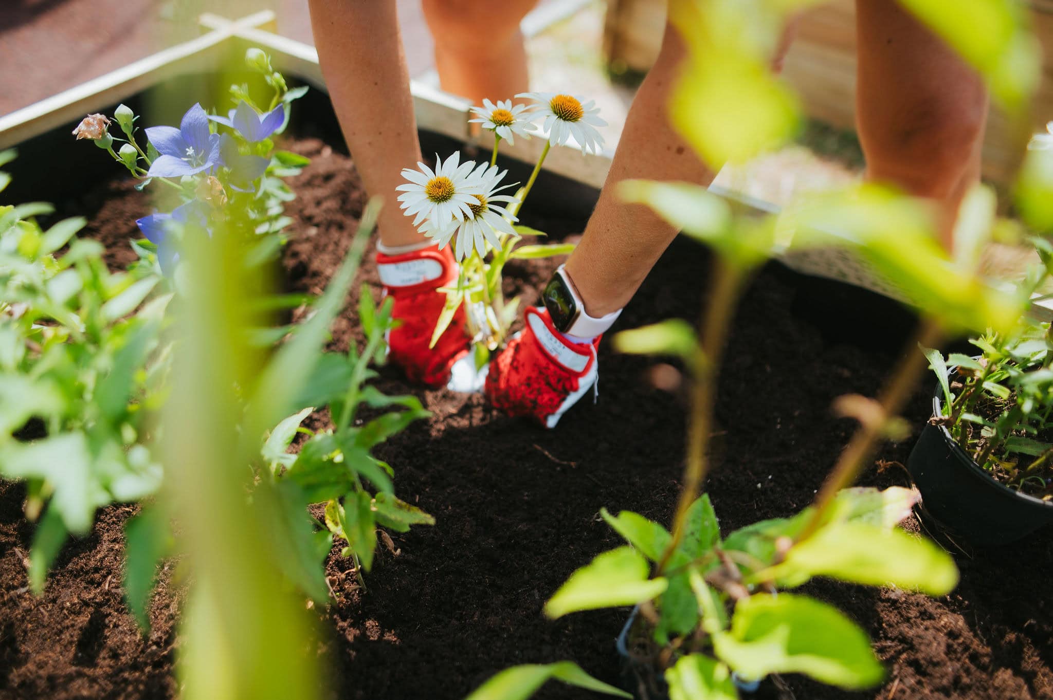 dm drogerie markt_Matúš Koprda – Dobrovoľníctvo ako cesta k silnejšej spoločnosti