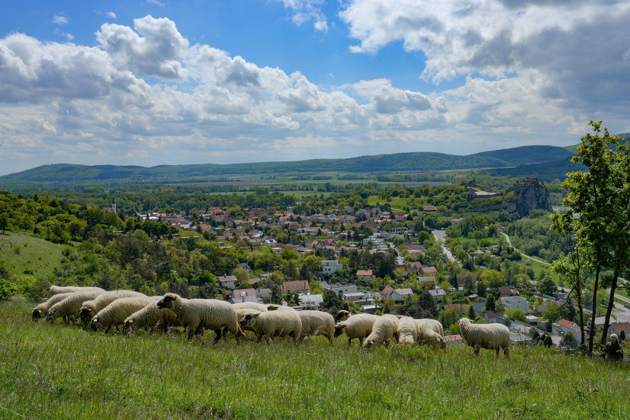 438087934_824825819679916_3527742981431659814_n