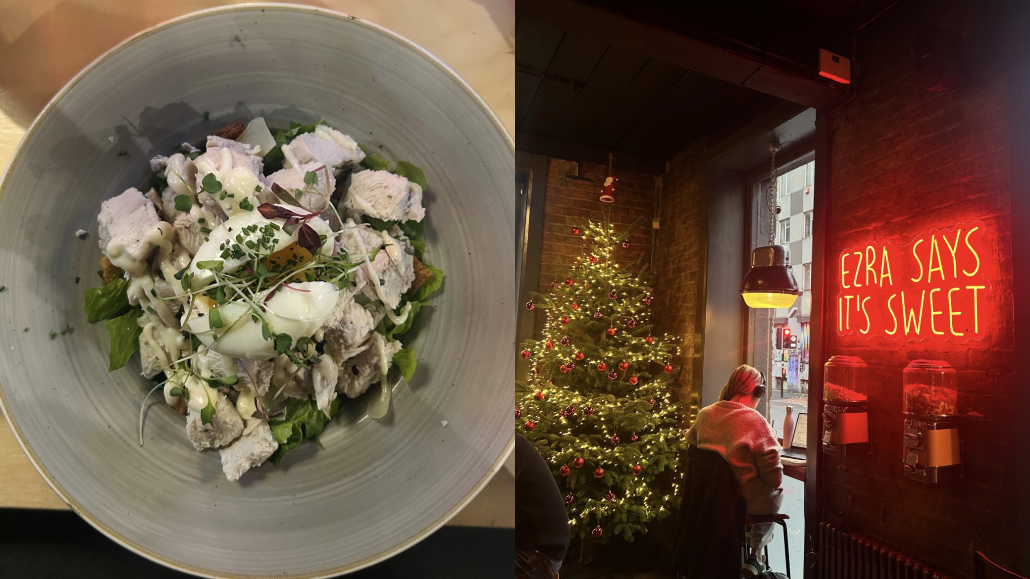 na snímke je šalát, stromček, jedlo