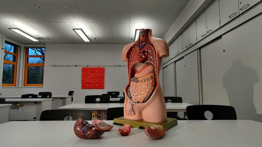 kevin-kandlbinder-RkdEJR2z6pM-unsplash