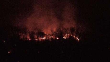 Lesný požiar vo Valaskej Belej.
