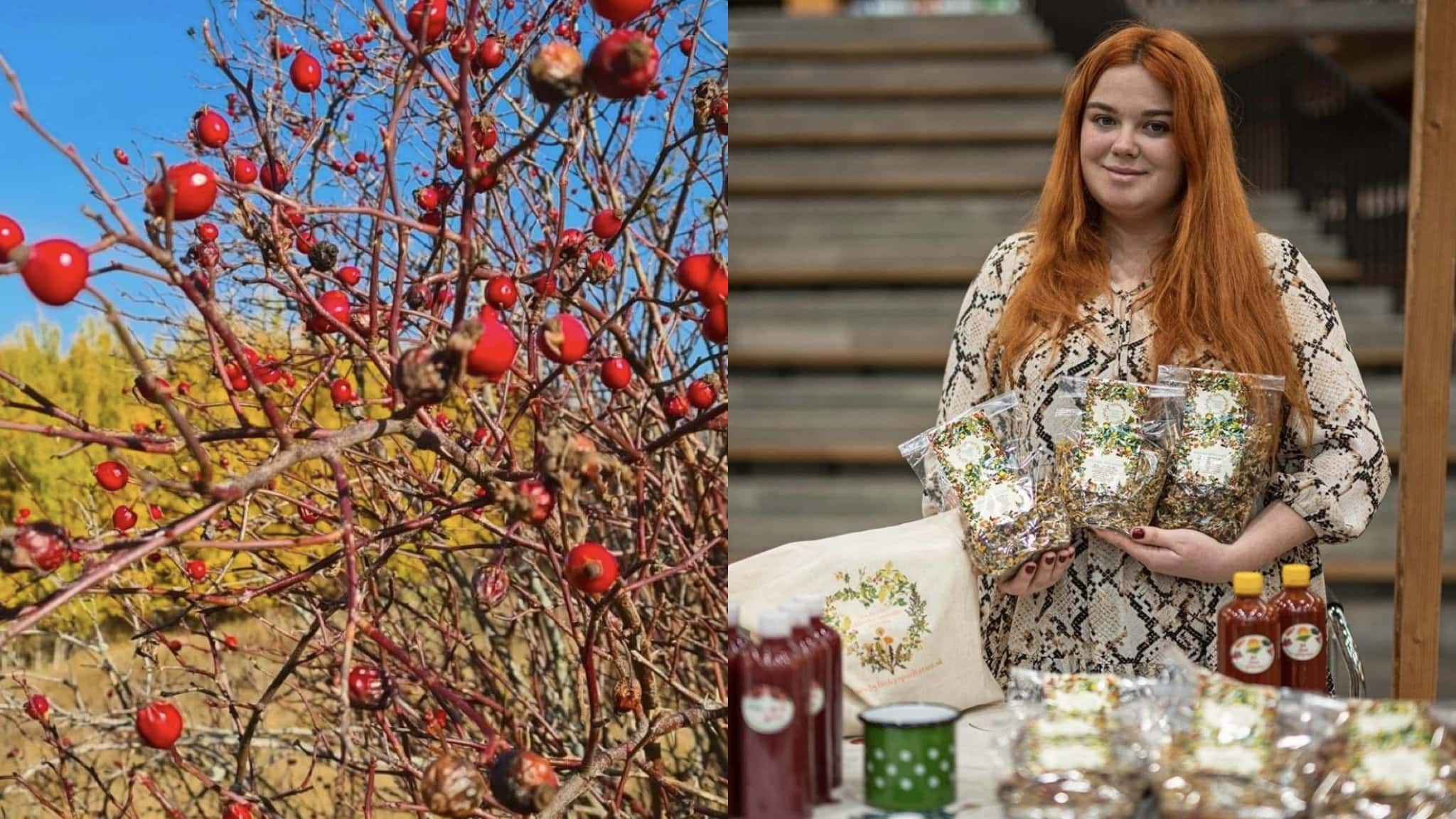 na snímke sú šípky, stánok