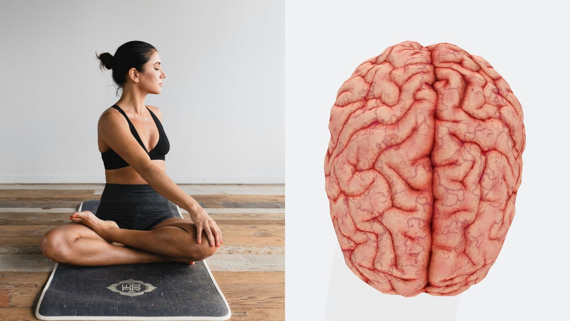 dane-wetton-buddhi-kumar-shrestha-unsplash