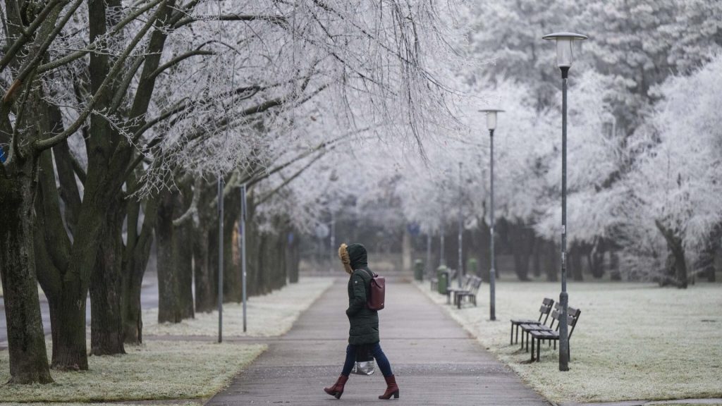 počasie, zima, námraza