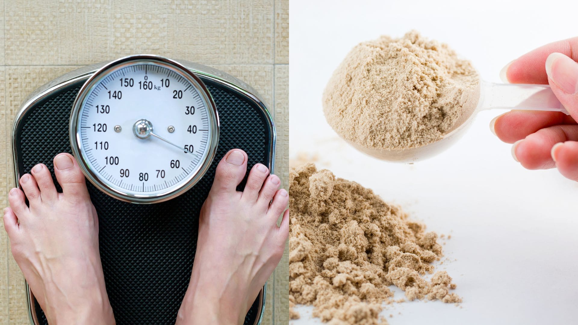váha, prášok, bielkoviny, chudnutie